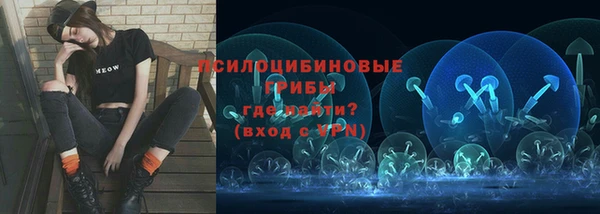 прущая мука Бородино