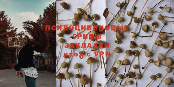 ECSTASY Бронницы
