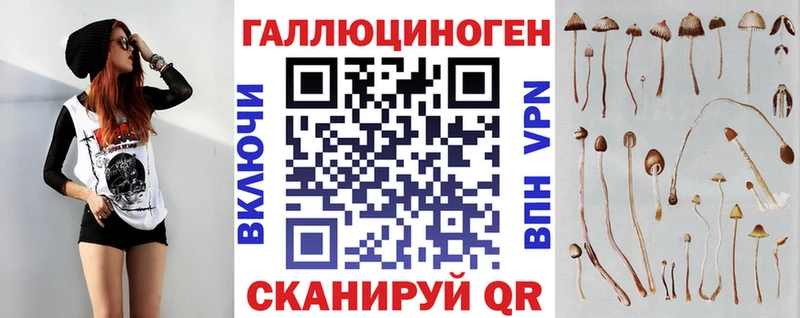 купить закладку  гидра   Галлюциногенные грибы мицелий  Шали 